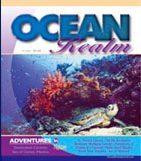 BITTENBYSHARKS, CLAUDIA PELLARINI, LEON JOUBERT, RAJA AMPAT, UNDERWATER PHOTOGRAPHY PROFESSIONALS