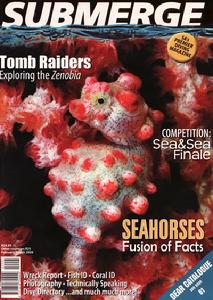 BITTENBYSHARKS, CLAUDIA PELLARINI, LEON JOUBERT, RAJA AMPAT, UNDERWATER PHOTOGRAPHY PROFESSIONALS