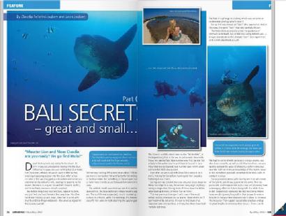 BITTENBYSHARKS, ARTICLES